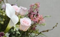 法律事務所クレイン