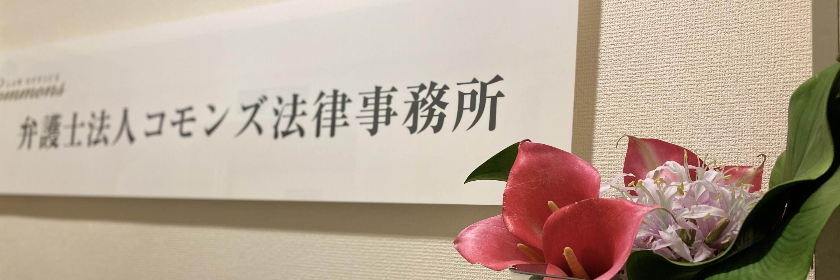降旗 順一郎弁護士（弁護士法人コモンズ法律事務所） - 東京都千代田区