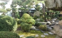 寄井 真二郎弁護士 弁護士法人しまなみ法律事務所 愛媛県今治市 弁護士ドットコム 寄井 真二郎弁護士 弁護士法人しまなみ法律事務所 愛媛県今治市 弁護士ドットコム