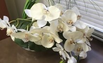 おあしす総合法律事務所