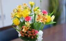 湘南台法律事務所