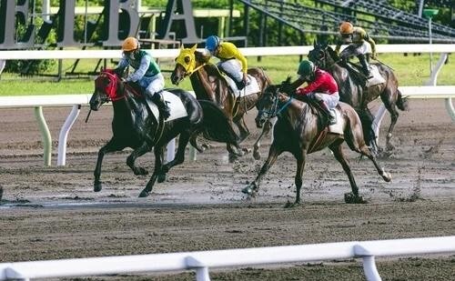 上野雅生法律事務所