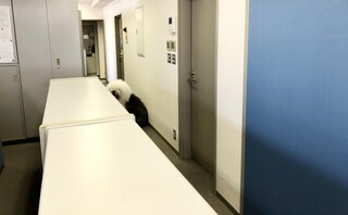 深津治法律事務所
