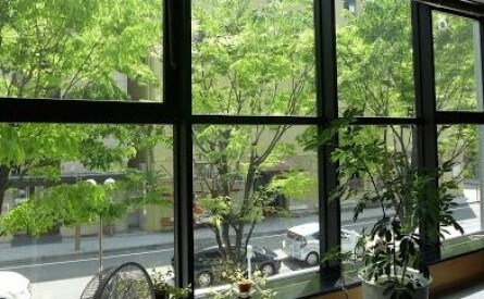 神戸きらめき法律事務所