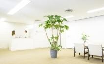 弁護士法人 法律事務所瀬合パートナーズ