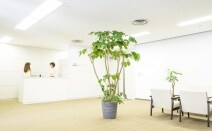 弁護士法人 法律事務所瀬合パートナーズ