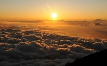 エジソン法律事務所