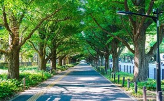 弁護士法人工藤法律事務所