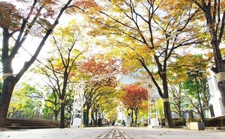 鈴木総合法律事務所