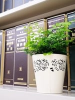 秋月 智美弁護士