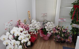 おいさき法律事務所