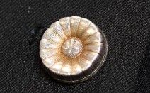 MYパートナーズ法律事務所