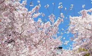 矢形法律事務所