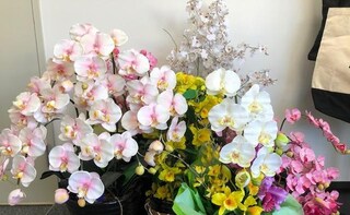 早坂法律事務所