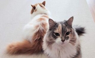 菅沼法律事務所