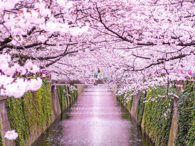 佐野 直子弁護士 Earth 法律事務所 東京都豊島区 弁護士ドットコム 佐野 直子弁護士 Earth 法律事務所 東京都豊島区 弁護士ドットコム