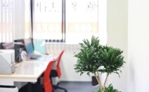 弁護士法人染矢修孝法律事務所