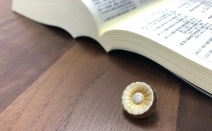 さぎぬま法律事務所