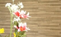 かめおか法律事務所