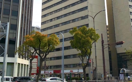 法律事務所絆