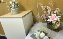石上雄介総合法律事務所
