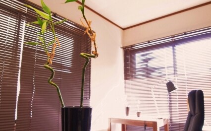 稲坂将成法律事務所