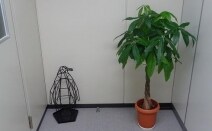 石塚総合法律事務所