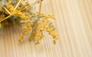 ルポながれやま法律事務所