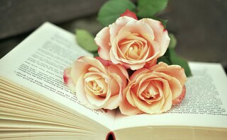 弁護士法人木村雅一法律特許事務所