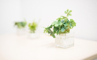 神戸十五番館法律事務所