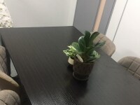 田村 瞳弁護士 仁和法律事務所 大阪府大阪市 弁護士ドットコム