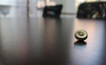 西葛西中央法律事務所