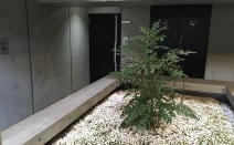 六りんどう法律事務所