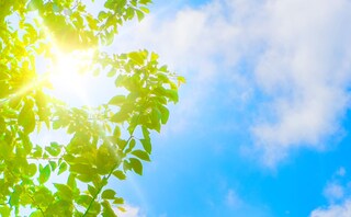 堂免法律事務所