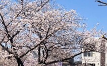 旬報法律事務所
