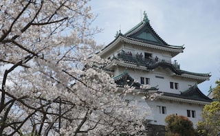 虎ノ門法律経済事務所 和歌山支店