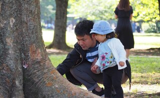 宮澤拓也法律事務所