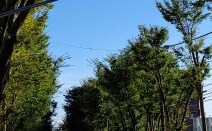 アスールたまプラ法律事務所