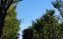 アスールたまプラ法律事務所