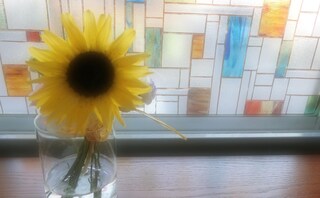 池田翔一法律事務所