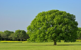 弁護士法人ダーウィン法律事務所福井オフィス