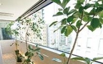 弁護士法人常磐法律事務所
