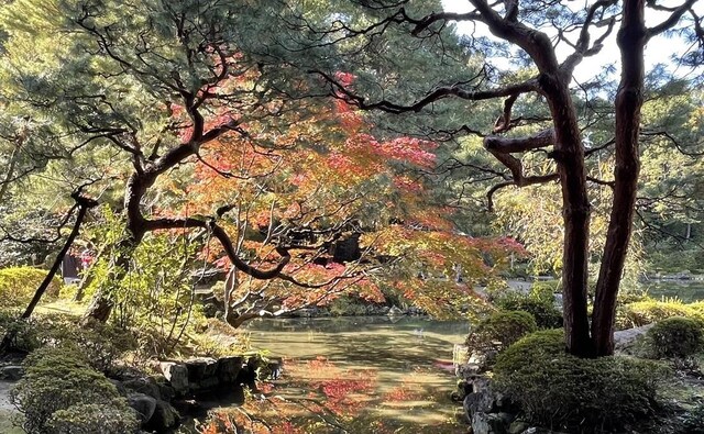 木下法律事務所