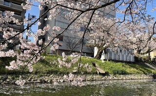 銀座高岡法律事務所