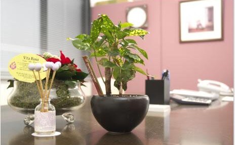 弁護士に聞く 夫 妻 の借金が理由で離婚するときのポイント 法律事務所 弁護士への相談ならlegalus