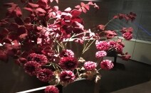 TECH GOAT PARTNERS法律事務所