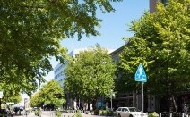 横浜法律事務所