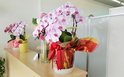 吉丸法律事務所