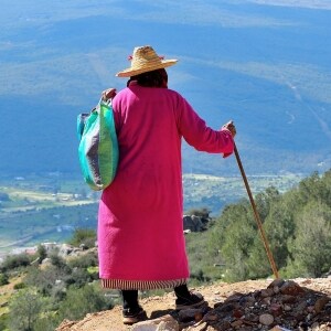 「誰にも迷惑かからないよ」死んだ飼い犬を山に埋葬する老婆、法的に問題ない？