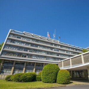 広島県知事の「現金10万円活用案」に大ブーイング…作花弁護士は「財産権の侵害」指摘